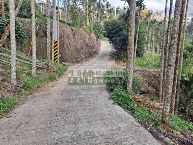 嘉義梅山農地-4