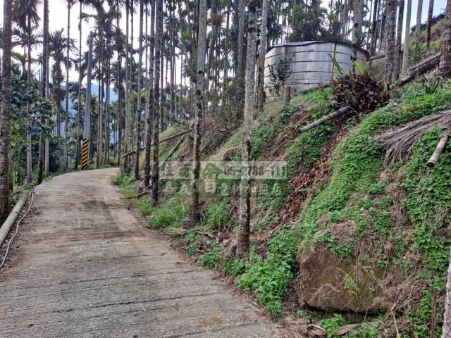 嘉義梅山農地-6