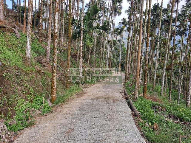 嘉義梅山農地-7