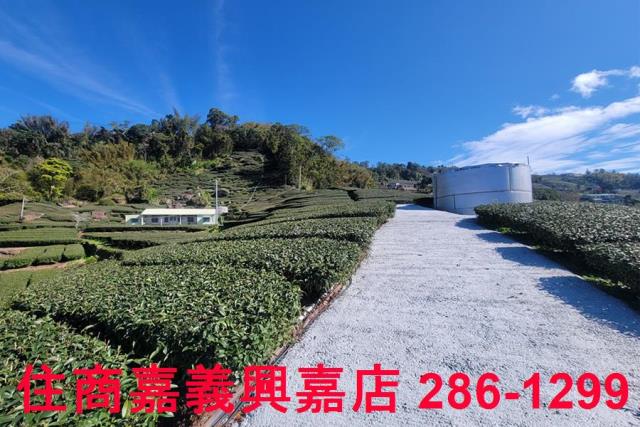 嘉義梅山農地-1