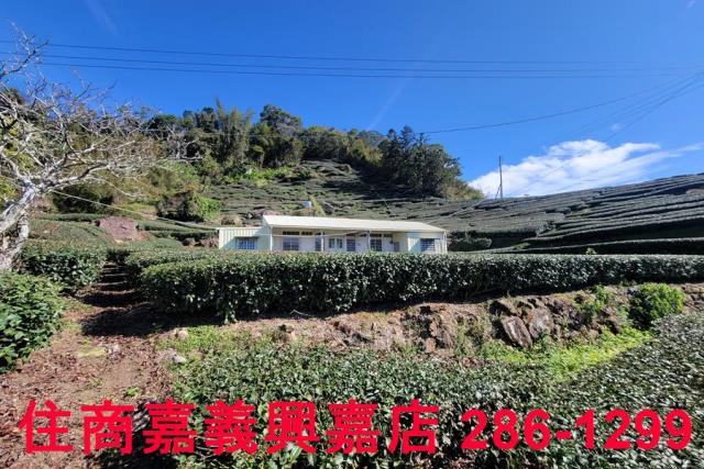 嘉義梅山農地-4