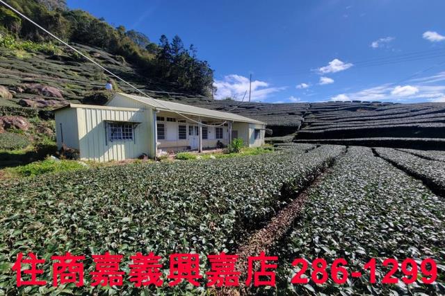 嘉義梅山農地-5