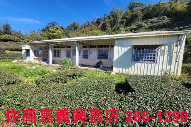 嘉義梅山農地-6