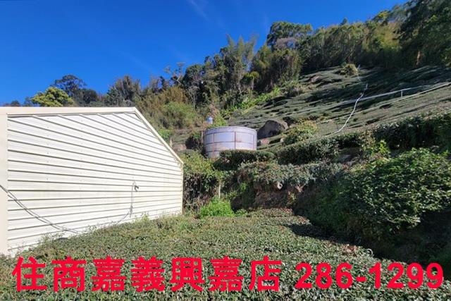 嘉義梅山農地-7