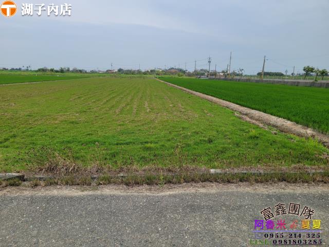 嘉義農地-3