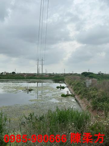 嘉義義竹農地-6