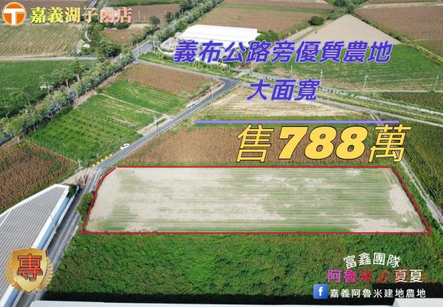 嘉義義竹農地-0