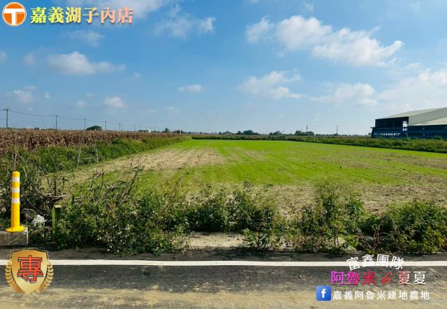 嘉義義竹農地-2