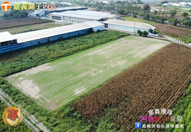 嘉義義竹農地-3