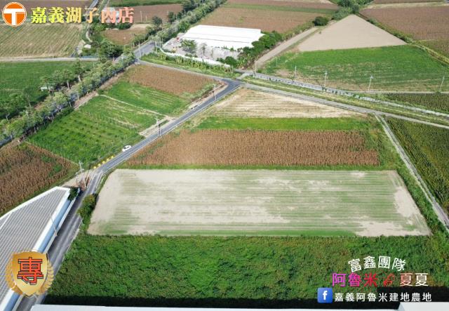 嘉義義竹農地-4