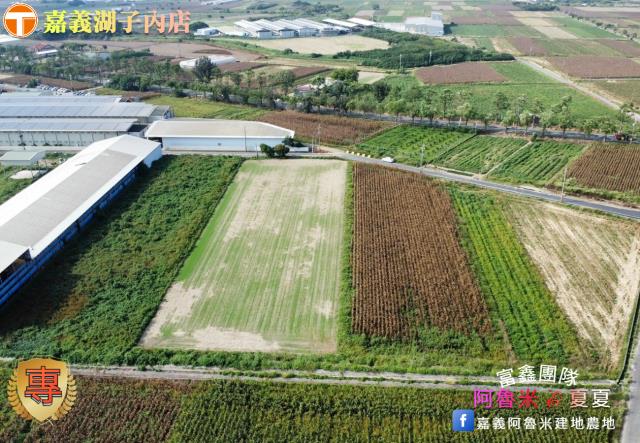 嘉義義竹農地-5