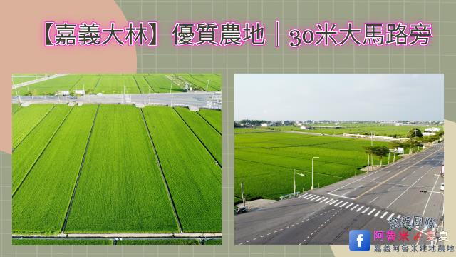 嘉義大林農地-0