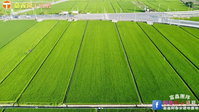 嘉義大林農地-1