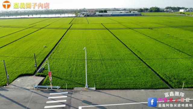 嘉義大林農地-2