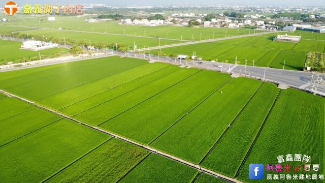 嘉義大林農地-4