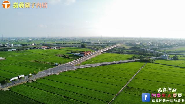 嘉義大林農地-5