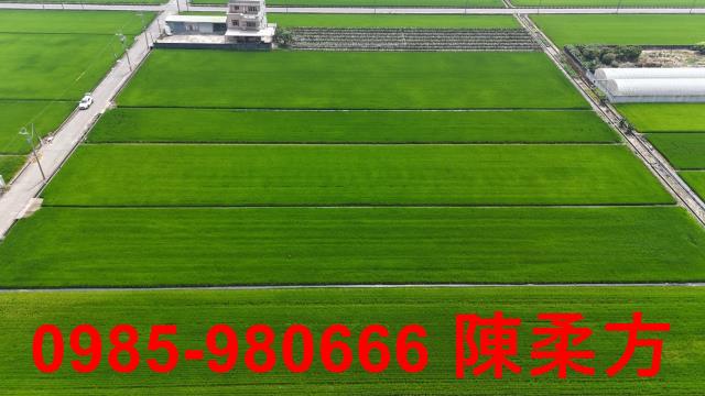 太保農地-6