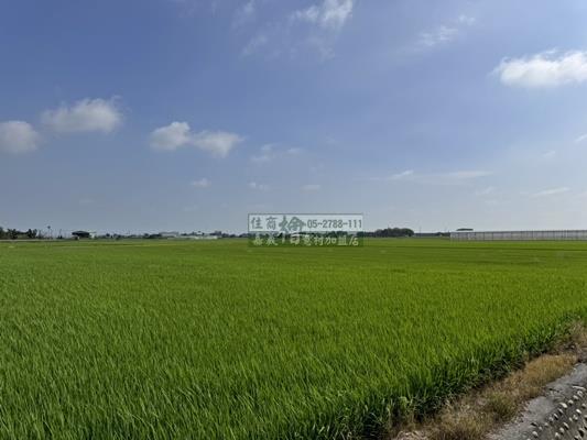 嘉義農地-0