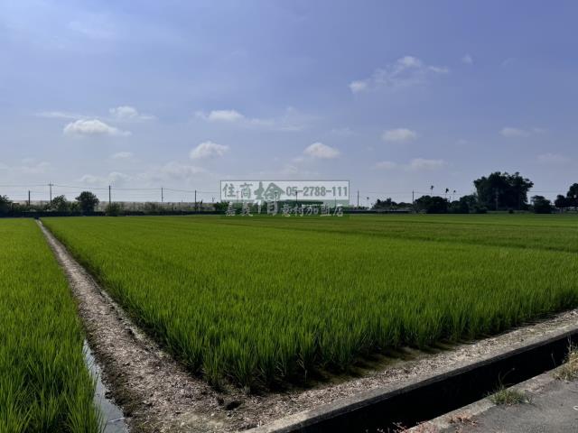 嘉義水上農地-10