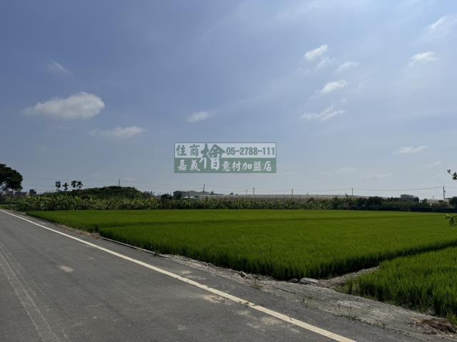 嘉義水上農地-11