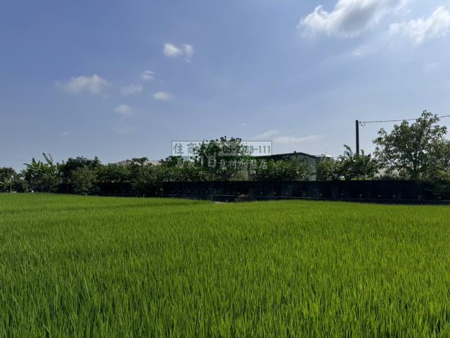 嘉義水上農地-0