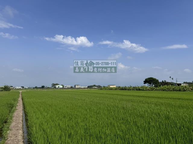 嘉義水上農地-1