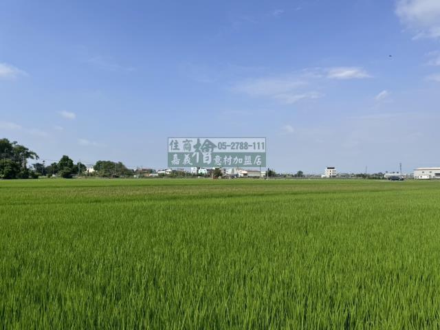 嘉義水上農地-2