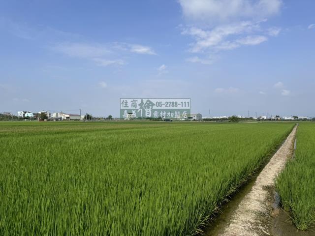 嘉義水上農地-3