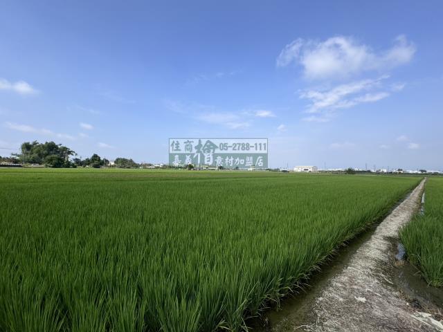 嘉義水上農地-4