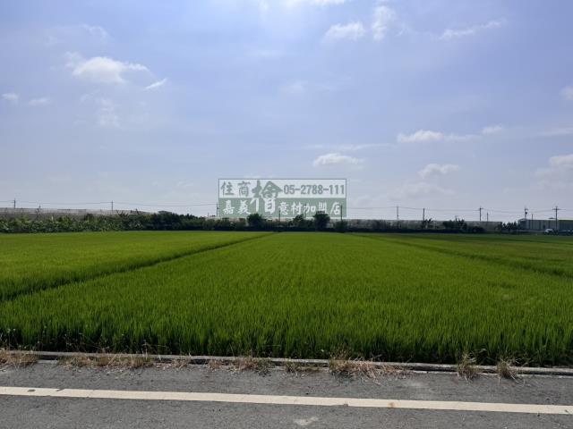 嘉義水上農地-5