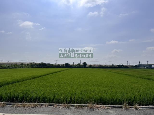 嘉義水上農地-6