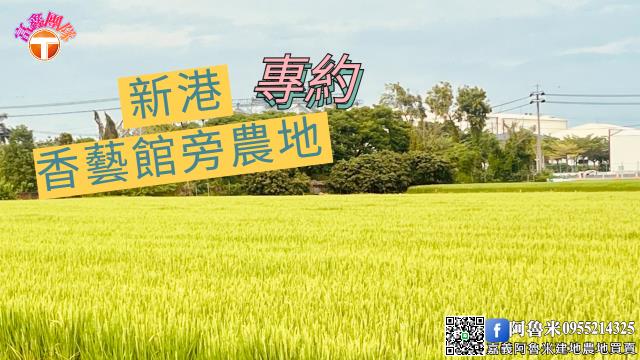 嘉義新港農地-0