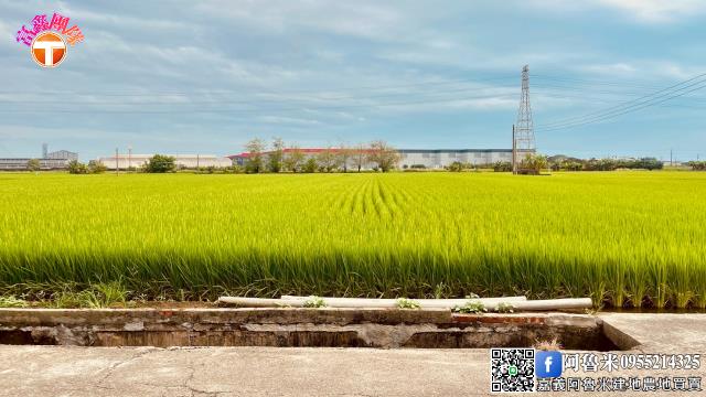 嘉義新港農地-2
