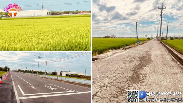 嘉義新港農地-4