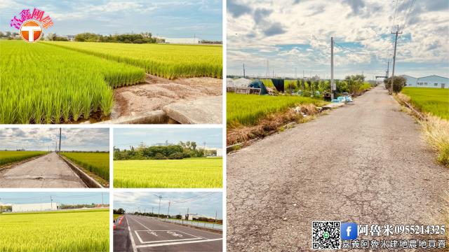 嘉義新港農地-5