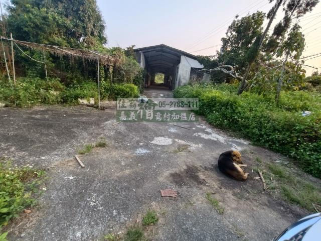 嘉義中埔農地-0