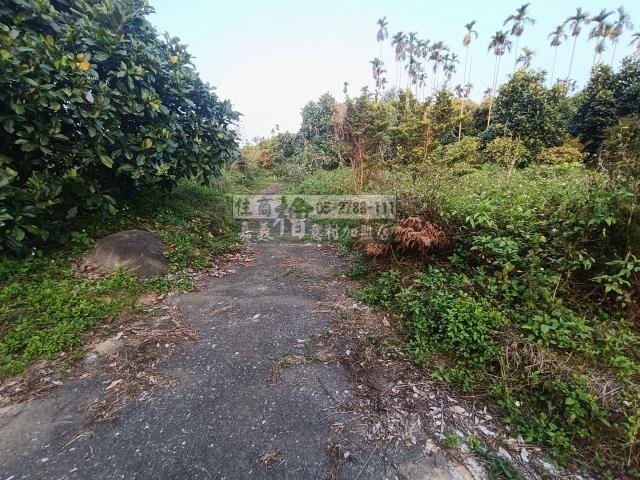 嘉義中埔農地-3