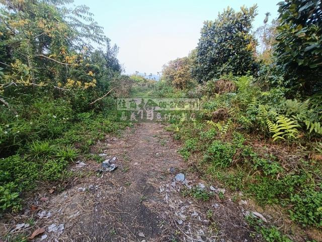 嘉義中埔農地-4