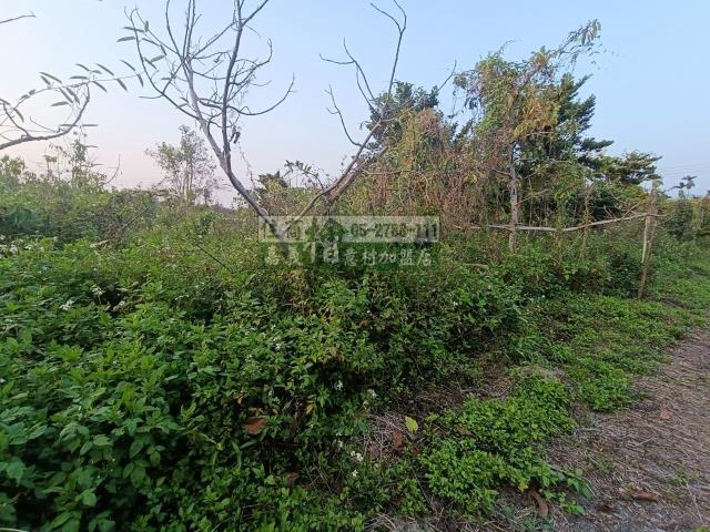 嘉義中埔農地-5