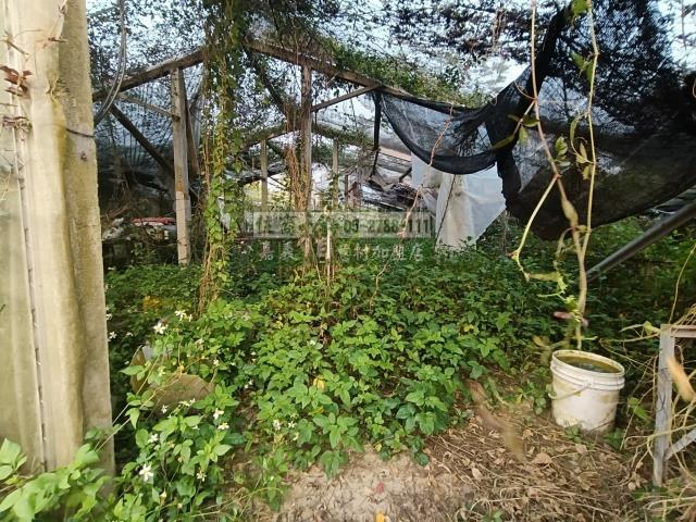 嘉義中埔農地-8