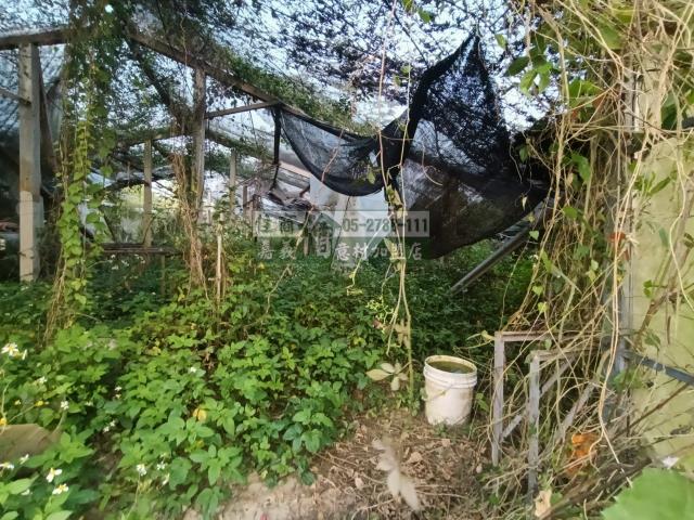 嘉義中埔農地-8