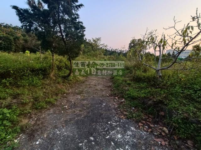 嘉義中埔農地-0