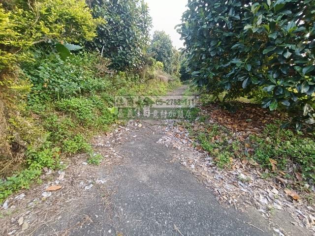 嘉義中埔農地-2