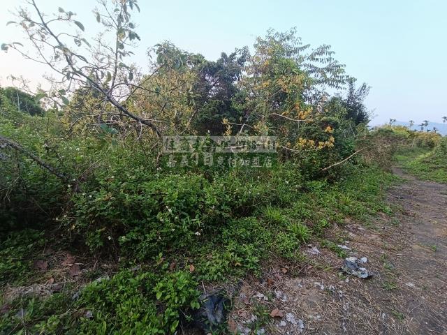 嘉義中埔農地-4