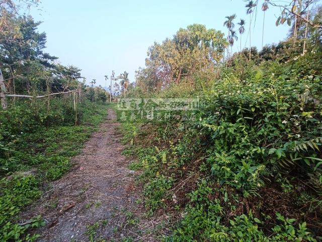 嘉義中埔農地-5