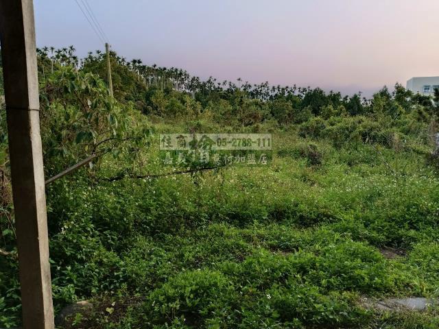 嘉義中埔農地-6