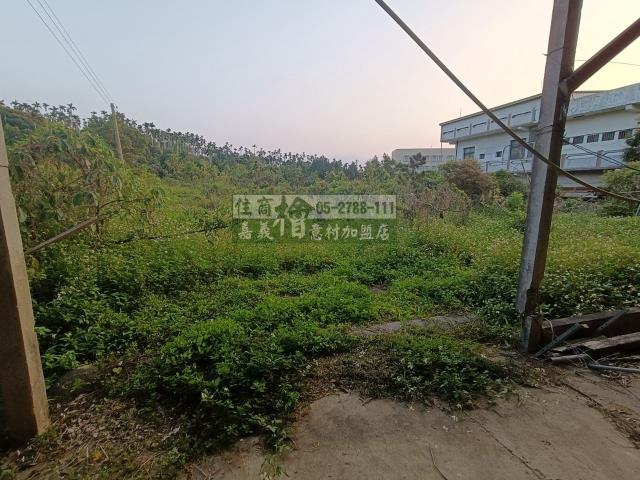 嘉義中埔農地-7