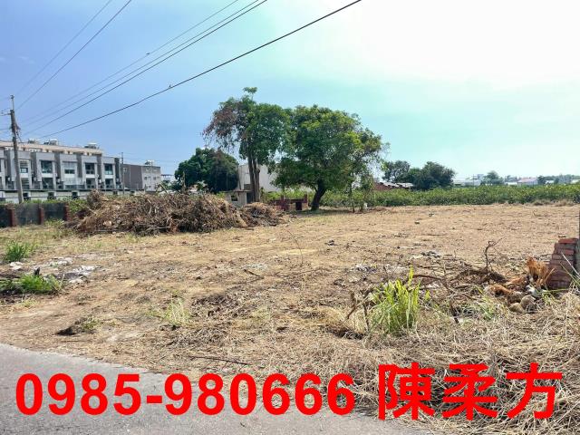 嘉義太保建地-2