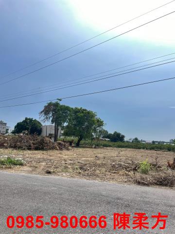 嘉義太保建地-4