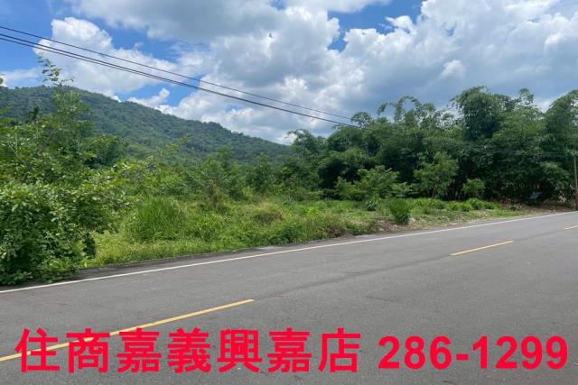 嘉義建地-8